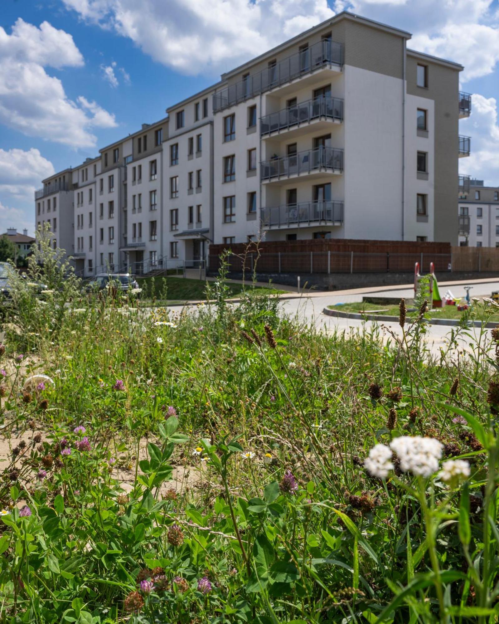 Wanessa Apartament